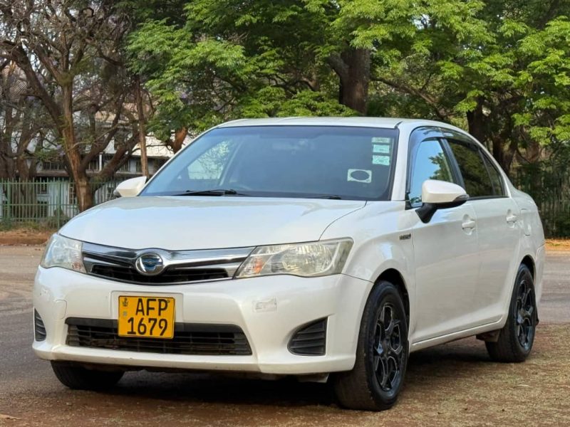 2018 Toyota Axio Hybrid