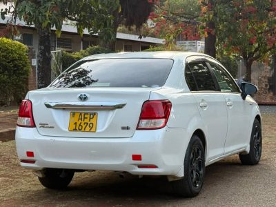 2018 Toyota Axio Hybrid