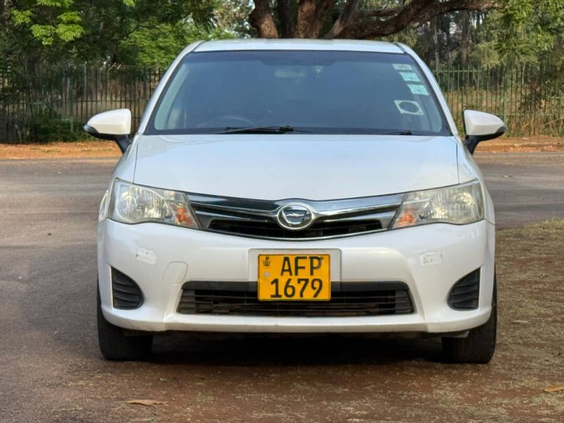 2018 Toyota Axio Hybrid