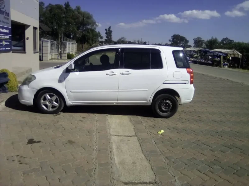 Toyota Raum New Shape