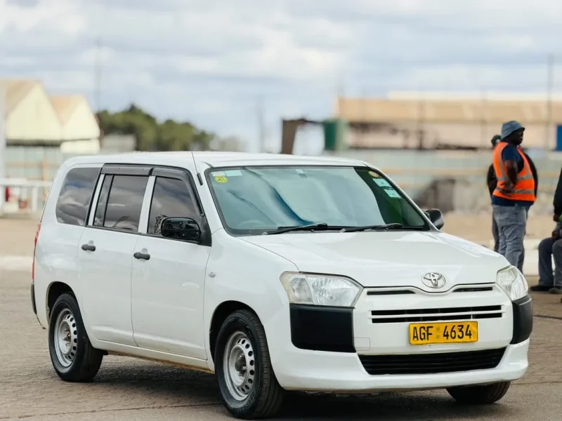 Toyota Probox Newshape