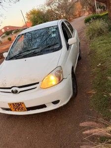 Toyota Platz 1L